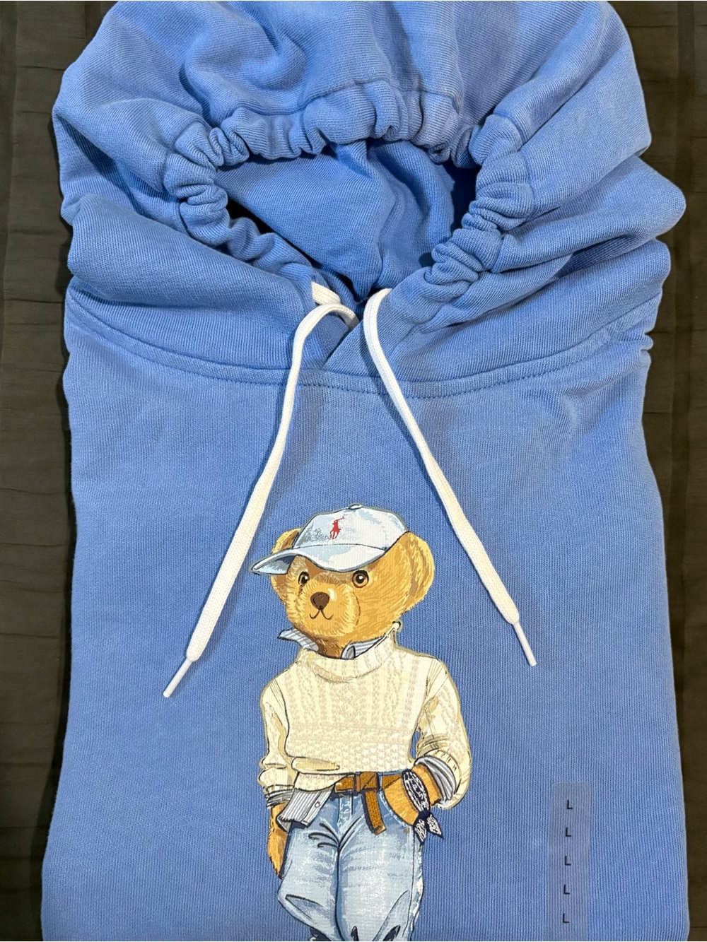 Ralph Lauren Blue Bear Graphic Crewneck Hoodie